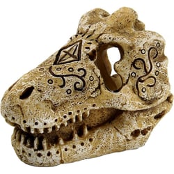 Crane T-Rex 8 cm Superfish Skull Décorations