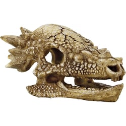 Crane T-Rex 15 cm Superfish Skull Décorations