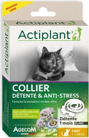 ACTI Collier Détente chat 42cm