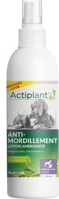 Spray ACTI Anti Mordillements chien chiot 