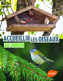 Accueillir les oiseaux au jardin