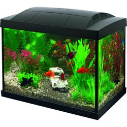 Superfish START Kit 20 Goldfish Noir ou Blanc