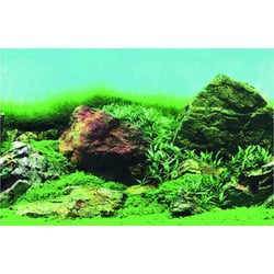 SuperFish Deco Poster C - 6 tailles Poster de fond pour aquarium