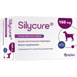 Anidev Silycure Soutien de la fonction hépatique pour chien