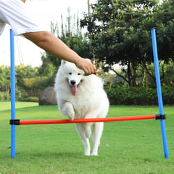 Set complet Agility pour chien Zolia Bolt-Sport - Set Agility