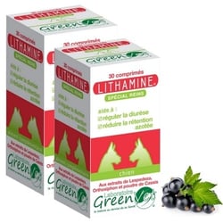 GREEN VET Lithamine Dog & Cat für Nierenkomfort