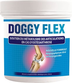 AUDEVARD Doggy Flex pour Chien - Soutien des Articulations