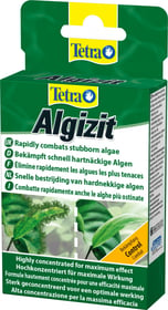 Tetra Algizit comprimés anti-algues