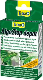 Tetra AlgoStop depot Anti-algues pour aquarium