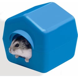 Maisonnette en plastique pour hamster