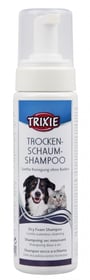 Trockenshampoo mit Schaum