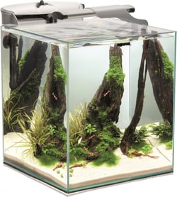 Aquarium Aquael FISH & SHRIMP Set Duo 35 49L