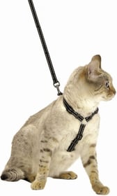 Kit Harnais+laisse pour Chat Safe BOBBY - Différents coloris