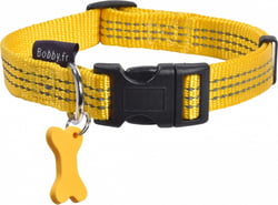 Collier Safe pour chien BOBBY - Plusieurs coloris 