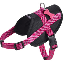 Easy Safe Geschirr für Hunde BOBBY Fuchsia - Reflective