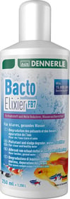 Dennerle Bacto Elixier FB7 Bactéries de filtration