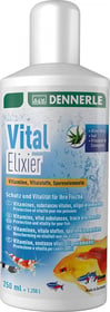 Dennerle Vital Elixier Vitamines et Oligo-éléments pour poissons