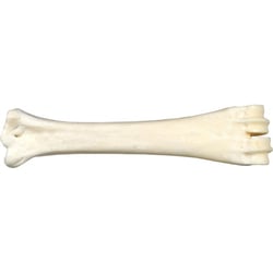 BUBIMEX Os au calcium