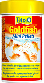 Tetra Goldfish mini pellets pour jeunes poissons rouges