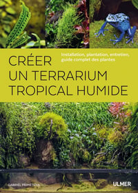 Créer un terrarium tropical humide NVELLE ED