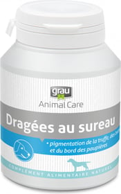 GRAU Dragées au sureau, accentue la pigmentation foncée des parties sans poils du chien et du chat