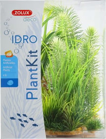 Sortiment 6 umetnih rastlin Plantkit IDRO - Št. 3