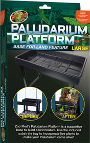 Paludarium Plattform