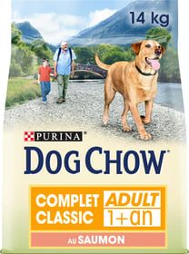 DOG CHOW für Hunde mit Lachs