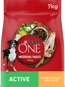 PURINA ONE Medium Maxi Active za psa