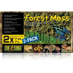 Mousse de forêt Exo Terra