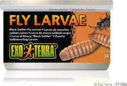 Larves pour reptile Exo Terra 