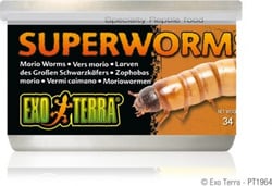 Nourriture en conserve Super Worms Exo Terra