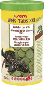 Sera Wels Tabs XXL Nature pastilles à base de végétaux pour les grands ancistrus et loricaridés