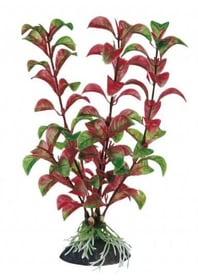 Plante en plastique pour aquarium - Rotala - 20 cm