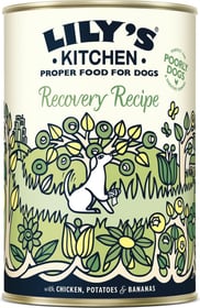 LILY'S KITCHEN Recovery Recipe pour chien senior