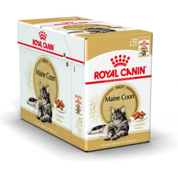 ROYAL CANIN Mousse za odrasle Maine Coon mačke