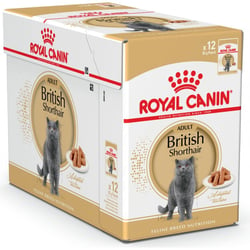 ROYAL CANIN Mousse za odrasle britanske kratkodlake