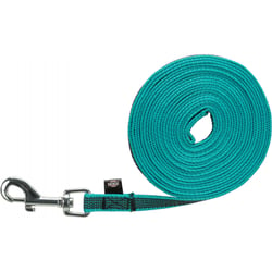 Laisse à Pister en caoutchouc Turquoise pour Chien - S-M