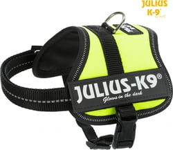 Julius-K9 Harnais Power vert fluo 