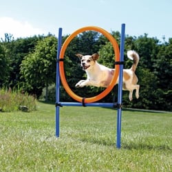 Agility Ring, höhenverstellbar