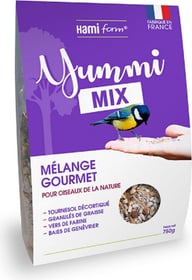 HAMIFORM Yummi mix - Mélange gourmet pour oiseaux du ciel