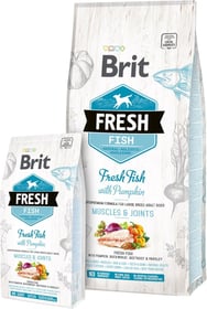 BRIT Fresh mit frischem Fisch und Kürbis für erwachsene Hunde großer Rassen