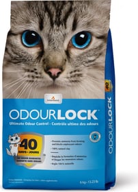 Litière odour lock non parfumé pour chat