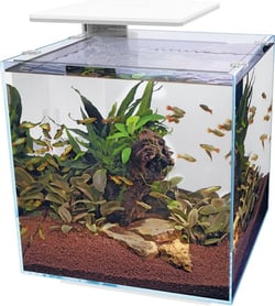 Aquarium QUBIQ 60 Pro Noir ou Blanc 60L