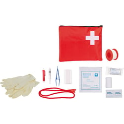 Trousse de Secours pour Chiens et Chats