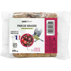 Hamiform Pain de graisse pour oiseaux du ciel - Plusieurs saveurs