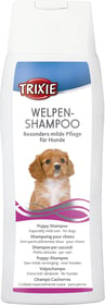 Welpenshampoo