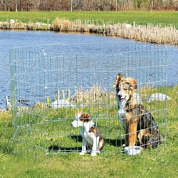 Enclos pour chiots galvanisé