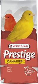 Versele Laga Prestige Canaris Light