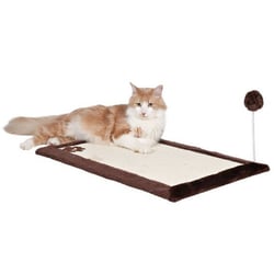 Tapis griffoir marron avec jouet sur ressort